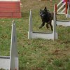 foire-haricots 2011-09-17et18
